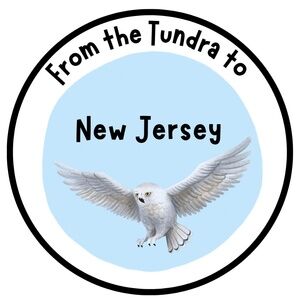 Snowy Owl ~ 3"STICKER ~ Bundle ANY 3 for $15